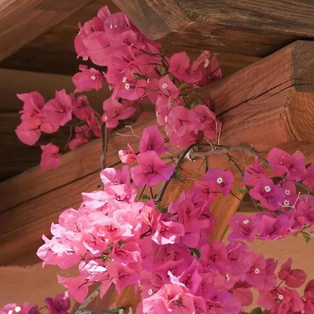 Hotel apartamentowy Villaggio Turchese 4*